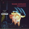 Black Sabbath - Paranoid (LP)