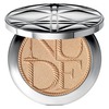 Diorskin Nude Tan Transat Edition