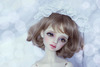 Volks Michele