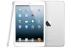 iPad mini Retina