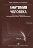 М.Р. Сапин, Г.Л. Жилич, Анатомия человека. В 3 томах. Том 2