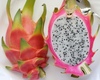 Dragon fruit