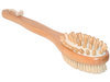 body brush