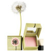 BENEFIT DANDELION