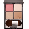 IPSA Face Color Designing Palette 102RK