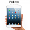 ipad mini.