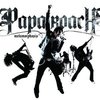 Концерт Papa Roach