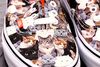 VANS off the wall CATS