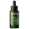 Caudalie Polyphenols C15 Anti-Wrinkle Defense Serum