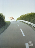 Print - Autobahn Pig