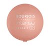 Тени 03 Bourjois Intense Extrait