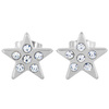 Stainless Steel Cubic Zirconia Star Stud Earrings