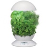 Aerogarden