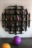 some kind of an Amazing Bookshelf