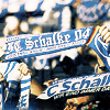 FC Schalke 04 Schal