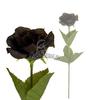 Черная Роза  Black imitation rose