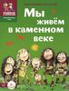 Мы живем в каменном веке