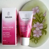 weleda wild rose day cream