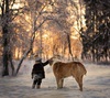 Пожалуй, вот так (сын и собака)