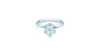 The Tiffany® Setting