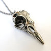 bird skull necklace