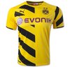 Футболка Borussia Dortmund сезон 2014/2015 с нанесением надписи