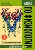 Камкин, Киселёва. Атлас по физиологии в 2-х томах (оба тома)