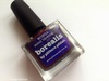 Picture Polish Borealis