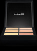 PRO Conceal and Correct Palette/Light