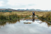 Wedding in Scotland