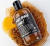 LUSH Truth Honey Shampoo