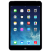 Apple iPad mini with Retina display 16Gb Wi-Fi Space Gray