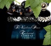 Enchanted forest by The vagabond prince, EDP