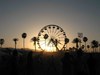 Coachella music festival