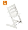 STOKKE® ДЕТСКИЙ СТУЛЬЧИК TRIPP TRAPP®