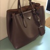 Prada double bag