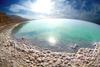 dead sea