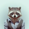 Racoon