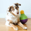 bob-a-lot interactive dog toy