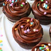 choco muffins