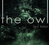 Ноты " The owl", ilya Beshevli