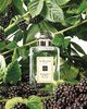 Парфюм Jo Malone