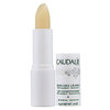 Caudalie Lip Conditioner