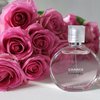 Chanel Chance eau Tendre