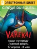 Билет на Cirque du Soleil