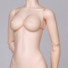 Тело Withdoll 41cm body