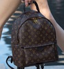 Louis Vuitton backpack