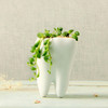 AIBEI-Pastoral Style White Ceramic plant Pots 1PC (Large) Creative Teeth model Flowerpot Flower Garden Pots Planters