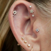 Tragus