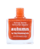 piCture pOlish Autumn